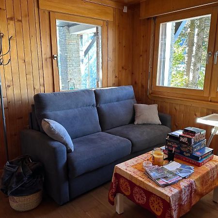 Chalet Edelweiss A Saint-Martin, Val D'Herens Zewnętrze zdjęcie